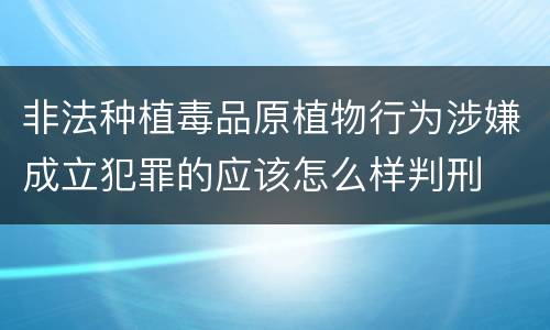 非法种植毒品原植物行为涉嫌成立犯罪的应该怎么样判刑