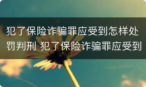 犯了保险诈骗罪应受到怎样处罚判刑 犯了保险诈骗罪应受到怎样处罚判刑吗