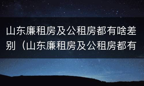 山东廉租房及公租房都有啥差别（山东廉租房及公租房都有啥差别吗）