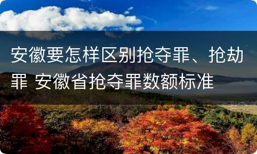 安徽要怎样区别抢夺罪、抢劫罪 安徽省抢夺罪数额标准