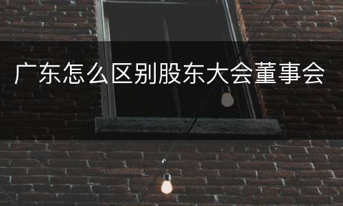 广东怎么区别股东大会董事会