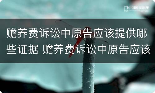 赡养费诉讼中原告应该提供哪些证据 赡养费诉讼中原告应该提供哪些证据呢