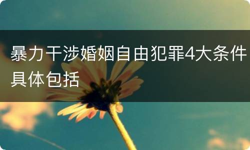 暴力干涉婚姻自由犯罪4大条件具体包括