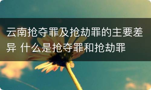 云南抢夺罪及抢劫罪的主要差异 什么是抢夺罪和抢劫罪