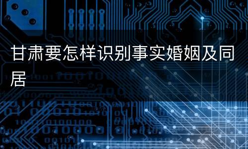 甘肃要怎样识别事实婚姻及同居