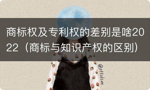 商标权及专利权的差别是啥2022(商标与知识产权的区别)