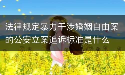 法律规定暴力干涉婚姻自由案的公安立案追诉标准是什么