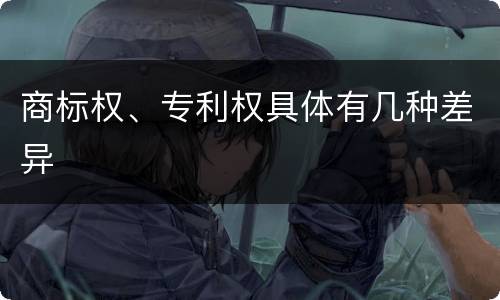 商标权、专利权具体有几种差异