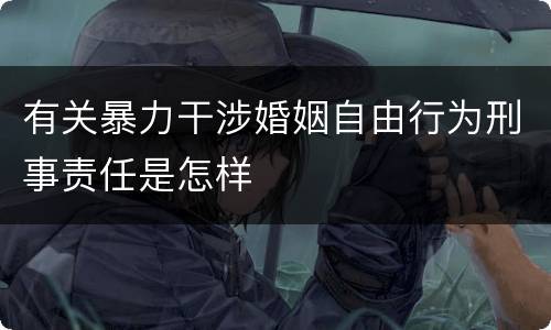 有关暴力干涉婚姻自由行为刑事责任是怎样