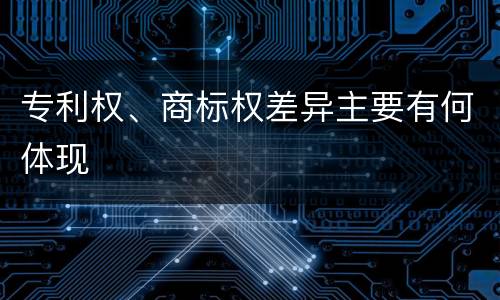 专利权、商标权差异主要有何体现