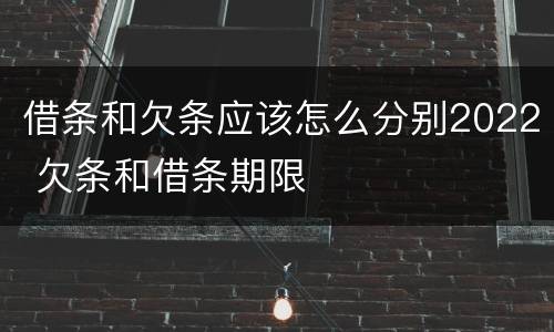借条和欠条应该怎么分别2022 欠条和借条期限