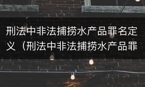 刑法中非法捕捞水产品罪名定义（刑法中非法捕捞水产品罪名定义标准）