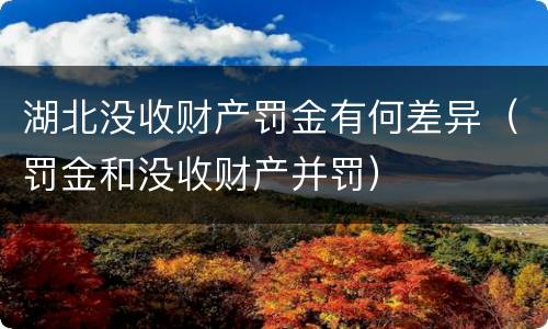 湖北没收财产罚金有何差异（罚金和没收财产并罚）