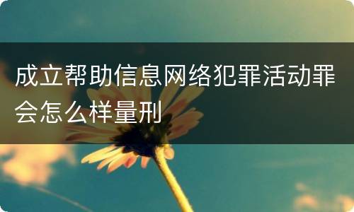 成立帮助信息网络犯罪活动罪会怎么样量刑