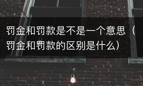 罚金和罚款是不是一个意思（罚金和罚款的区别是什么）