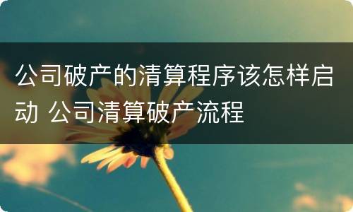 公司破产的清算程序该怎样启动 公司清算破产流程