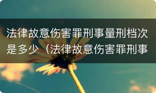 法律故意伤害罪刑事量刑档次是多少（法律故意伤害罪刑事量刑档次是多少级）