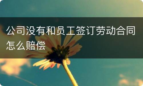 公司没有和员工签订劳动合同怎么赔偿