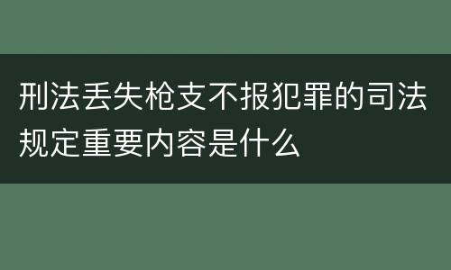 刑法丢失枪支不报犯罪的司法规定重要内容是什么