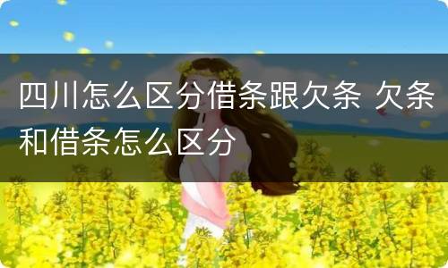四川怎么区分借条跟欠条 欠条和借条怎么区分