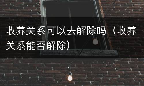 收养关系可以去解除吗（收养关系能否解除）