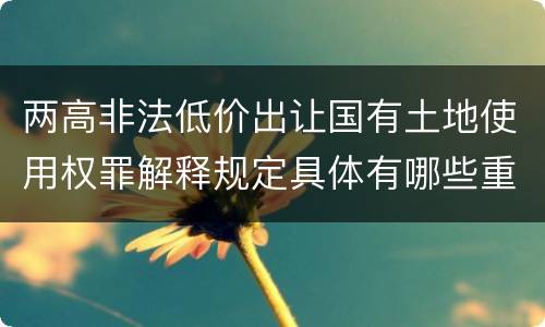 两高非法低价出让国有土地使用权罪解释规定具体有哪些重要内容