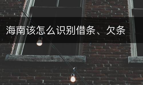 海南该怎么识别借条、欠条