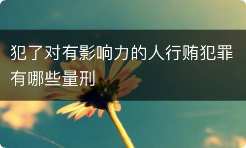 犯了对有影响力的人行贿犯罪有哪些量刑