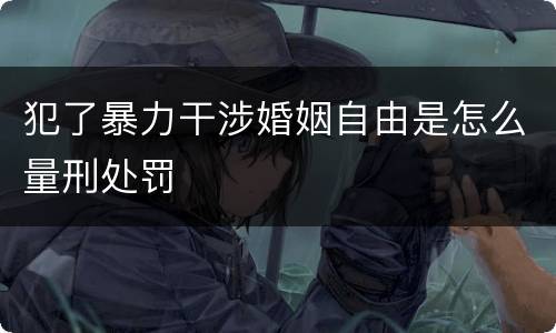 犯了暴力干涉婚姻自由是怎么量刑处罚