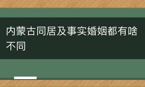 内蒙古同居及事实婚姻都有啥不同