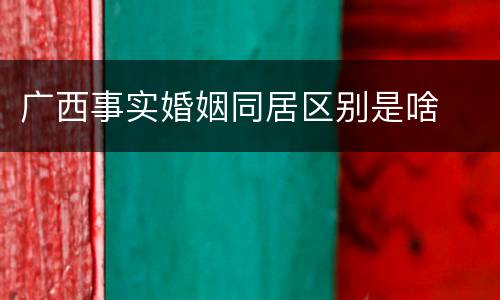 广西事实婚姻同居区别是啥
