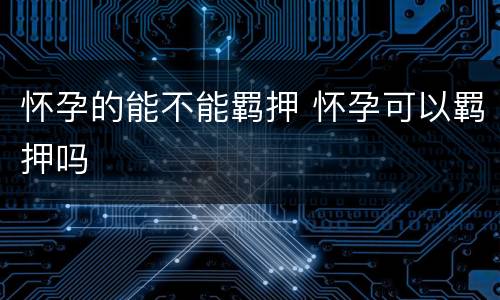 怀孕的能不能羁押 怀孕可以羁押吗