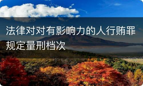法律对对有影响力的人行贿罪规定量刑档次