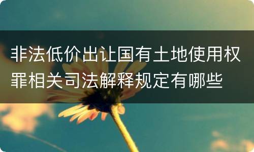 非法低价出让国有土地使用权罪相关司法解释规定有哪些