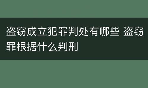 盗窃成立犯罪判处有哪些 盗窃罪根据什么判刑