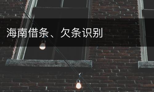 海南借条、欠条识别
