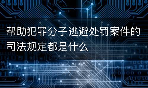 帮助犯罪分子逃避处罚案件的司法规定都是什么