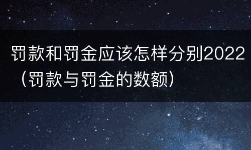 罚款和罚金应该怎样分别2022（罚款与罚金的数额）
