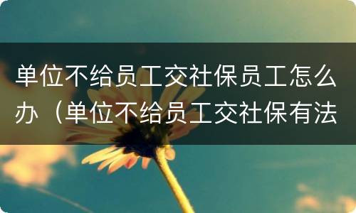 单位不给员工交社保员工怎么办（单位不给员工交社保有法律依据?）