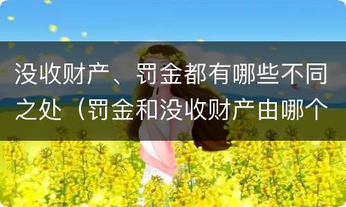 没收财产、罚金都有哪些不同之处（罚金和没收财产由哪个机关执行）