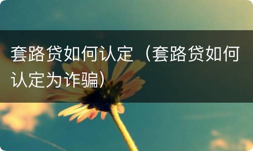 套路贷如何认定（套路贷如何认定为诈骗）