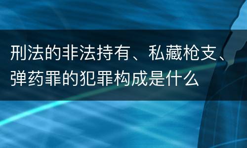 刑法的非法持有、私藏枪支、弹药罪的犯罪构成是什么