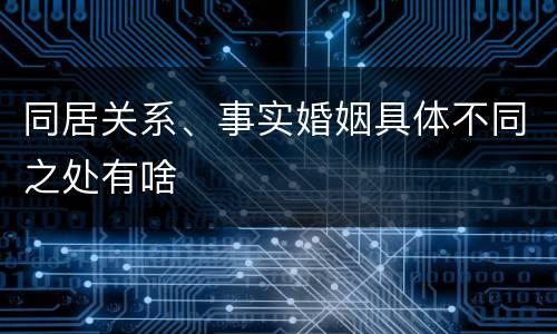 同居关系、事实婚姻具体不同之处有啥