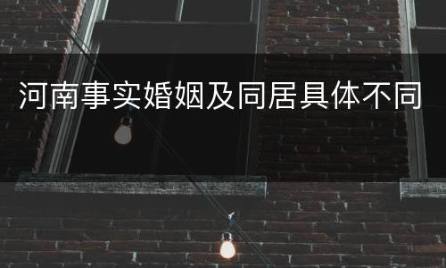 河南事实婚姻及同居具体不同
