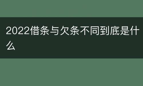 2022借条与欠条不同到底是什么