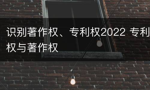 识别著作权、专利权2022 专利权与著作权