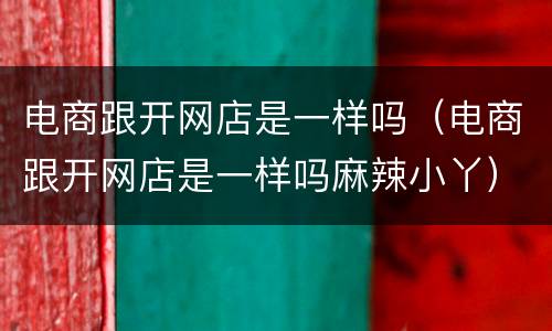 电商跟开网店是一样吗（电商跟开网店是一样吗麻辣小丫）