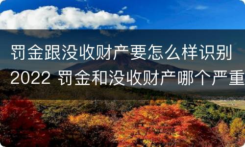 罚金跟没收财产要怎么样识别2022 罚金和没收财产哪个严重