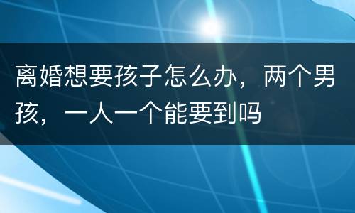 离婚想要孩子怎么办，两个男孩，一人一个能要到吗