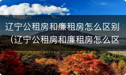 辽宁公租房和廉租房怎么区别（辽宁公租房和廉租房怎么区别的）